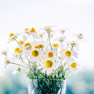 给欧美片一个光
